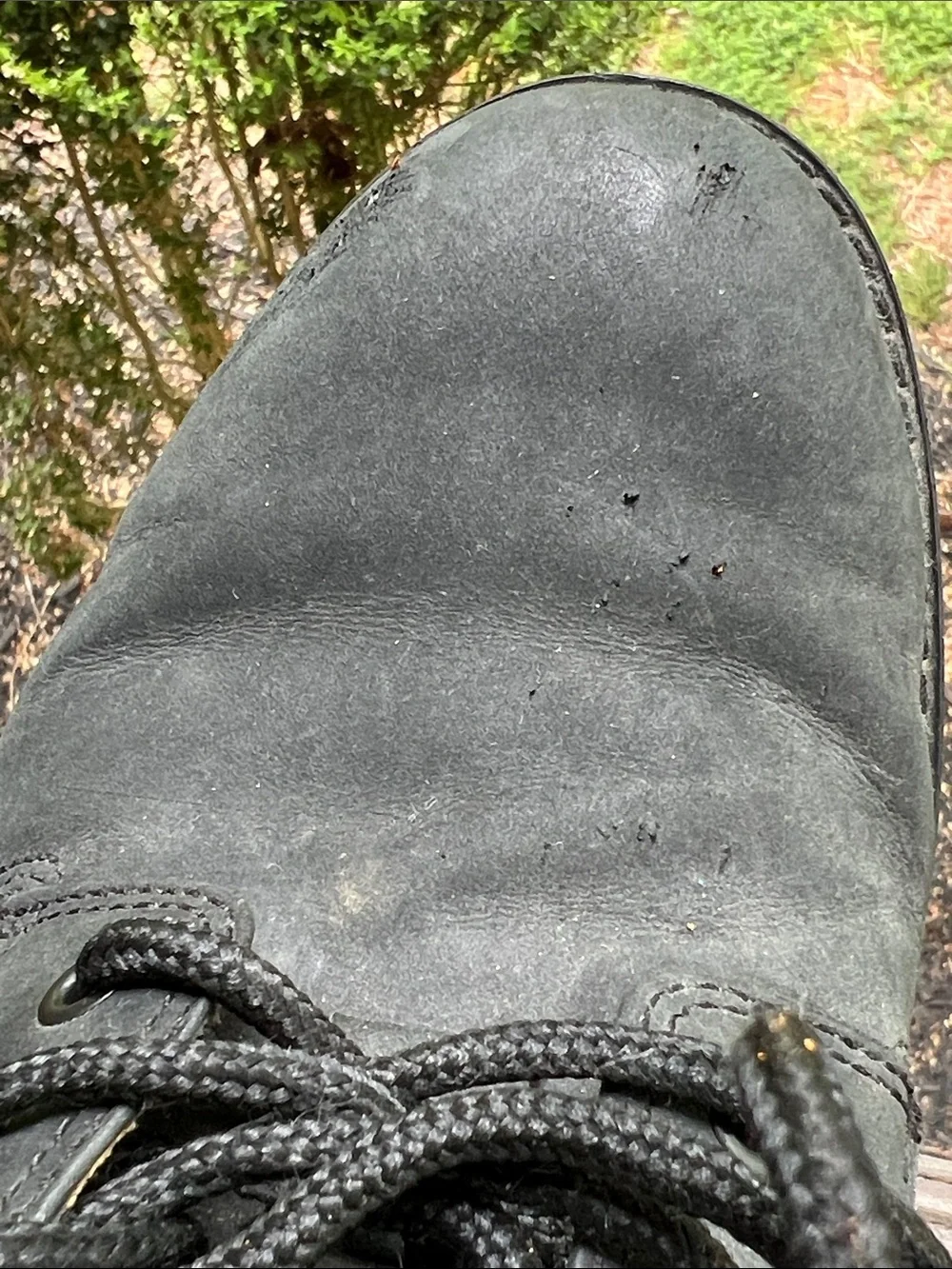 Timberland Men's Black Chukka Lace-Up Boots